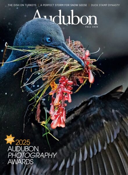 Audubon Magazine – Fall 2025 Cover