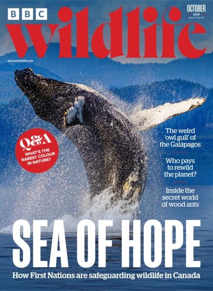 BBC Wildlife – October 2025 Cover