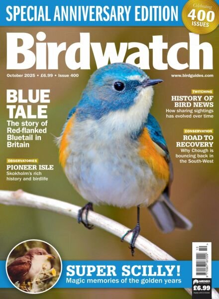 Birdwatch UK – October 2025 Cover