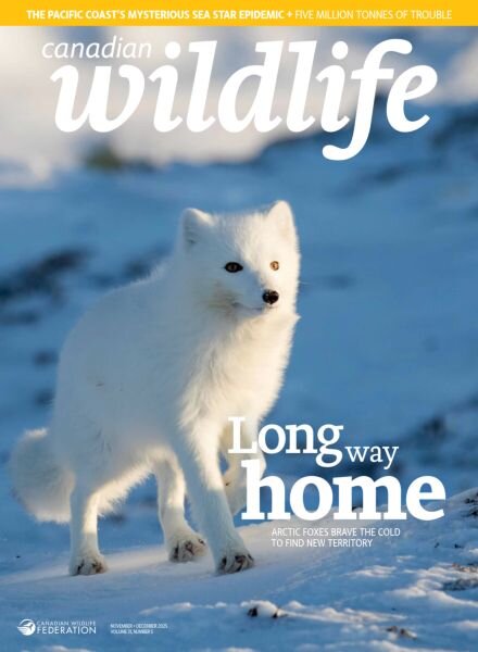 Canadian Wildlife – November 2025 Cover