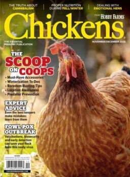 Chickens – November-December 2025