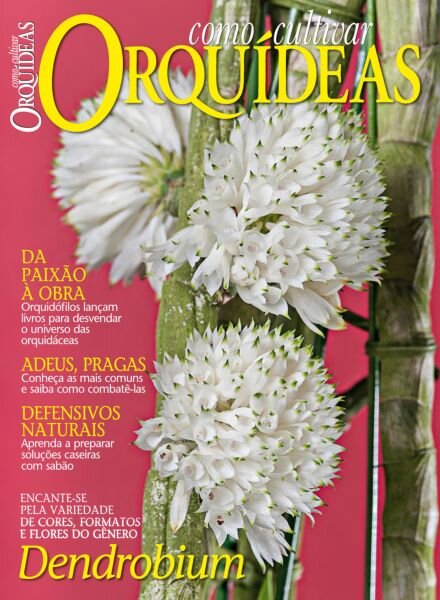 Como Cultivar Orquideas – Edicao 64 2025 Cover