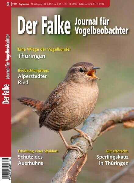 Der Falke Journal fur Vogelbeobachter – September 2025 Cover