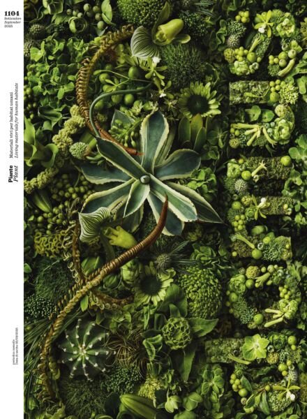Domus Italia – Settembre 2025 Cover