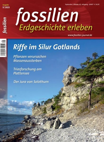 Fossilien – September-Oktober 2025 Cover