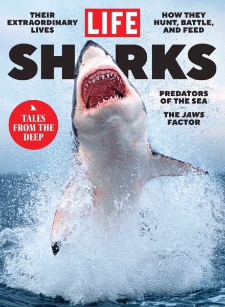 LIFE – Sharks 2025 Cover