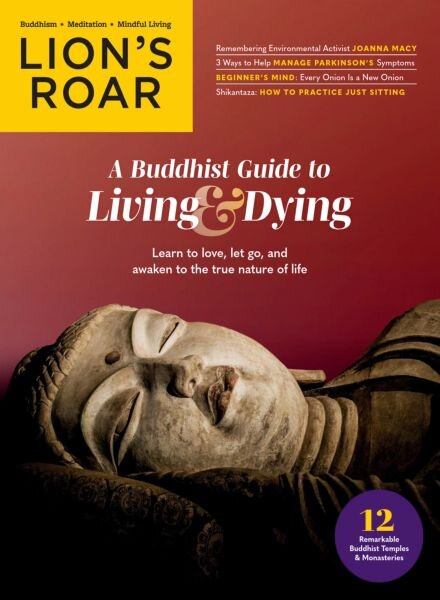 Lion’s Roar – November 2025 Cover