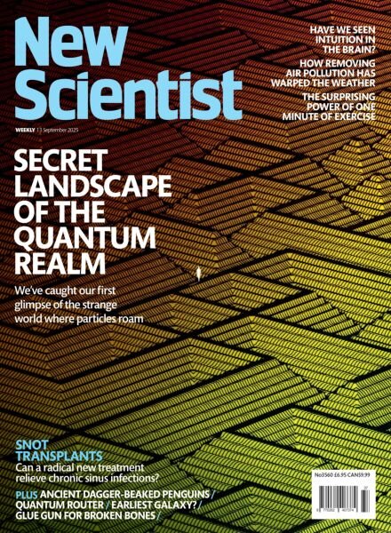 New Scientist International Edition – 13 September 2025 Cover