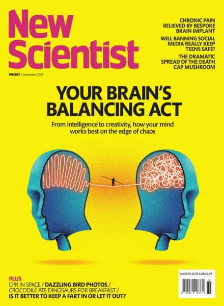 New Scientist International Edition – 6 September 2025 Cover