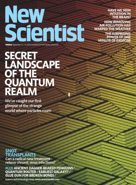 New Scientist USA – 13 September 2025 Cover