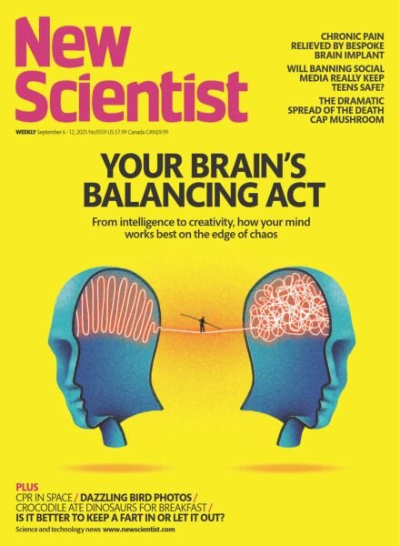 New Scientist USA – 6 September 2025 Cover