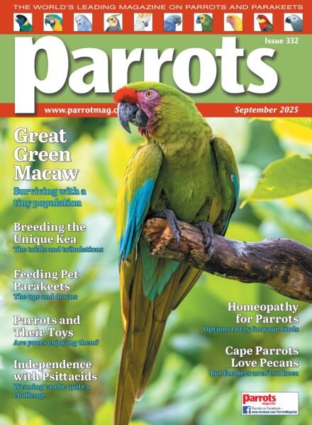 Parrots – September 2025 Cover