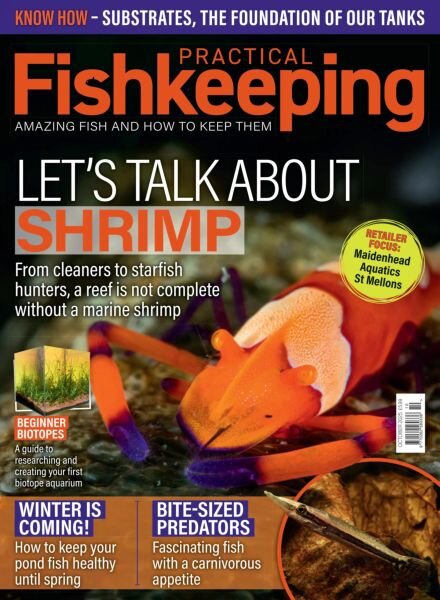 Practical Fishkeeping – October 2025 Cover