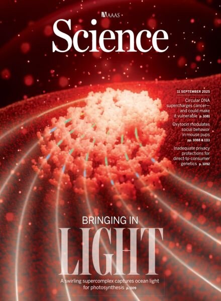 Science – 11 September 2025 Cover