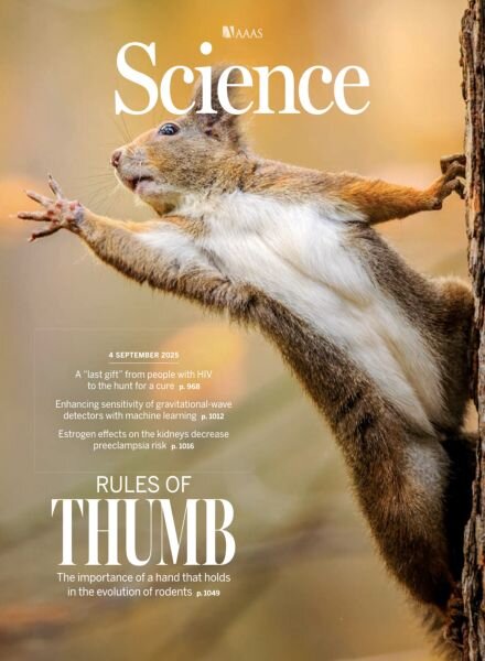 Science – 4 September 2025 Cover