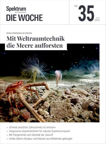 Spektrum Die Woche – 28 August 2025 Cover
