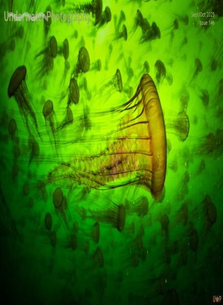 Underwater Photography – September-October 2025 Cover