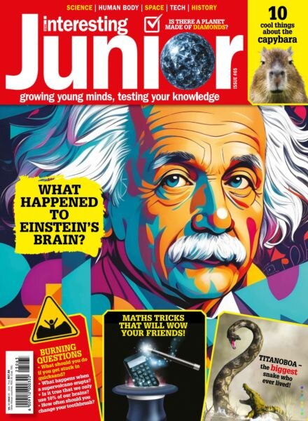 Very Interesting Junior – Issue 65 June 2025 Cover