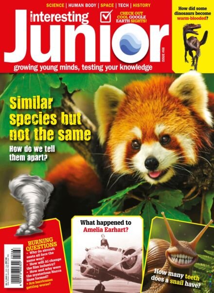 Very Interesting Junior – Issue 66 August 2025 Cover