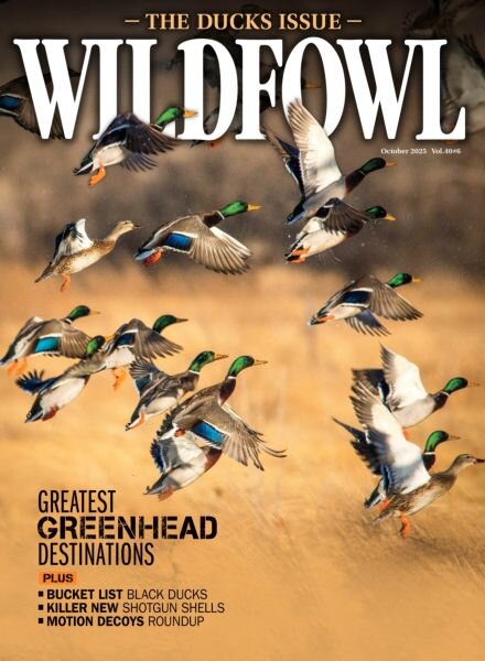 Wildfowl – October 2025 Cover