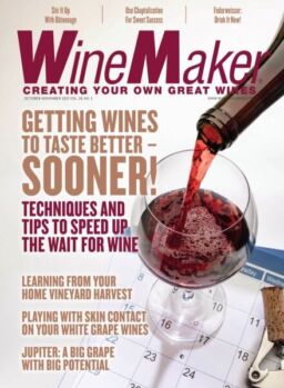 WineMaker – October-November 2025