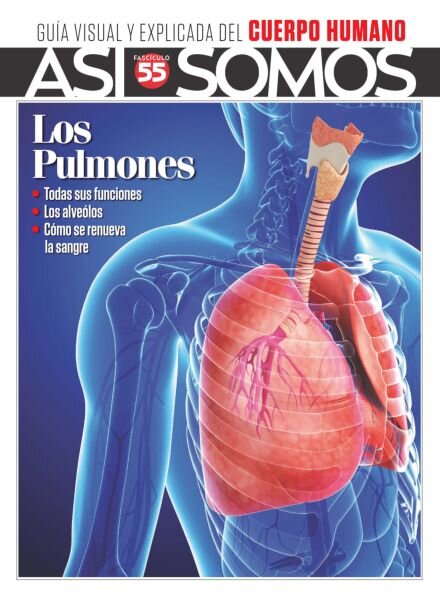 Asi Somos El cuerpo humano – Octubre 2025 Cover