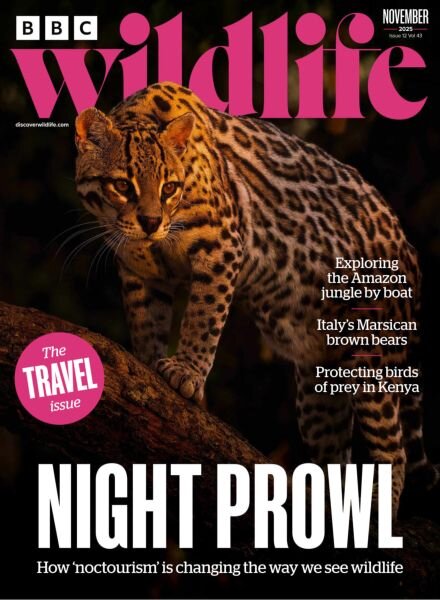BBC Wildlife – November 2025 Cover
