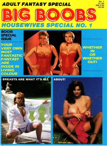 Big Boobs Housewives Special – N 1 Cover