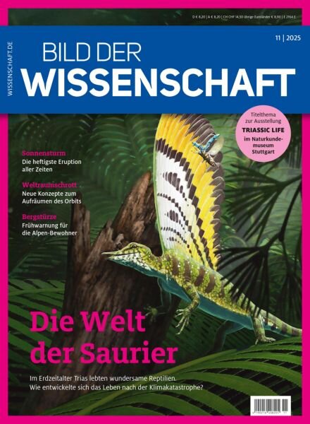 Bild der Wissenschaft – November 2025 Cover