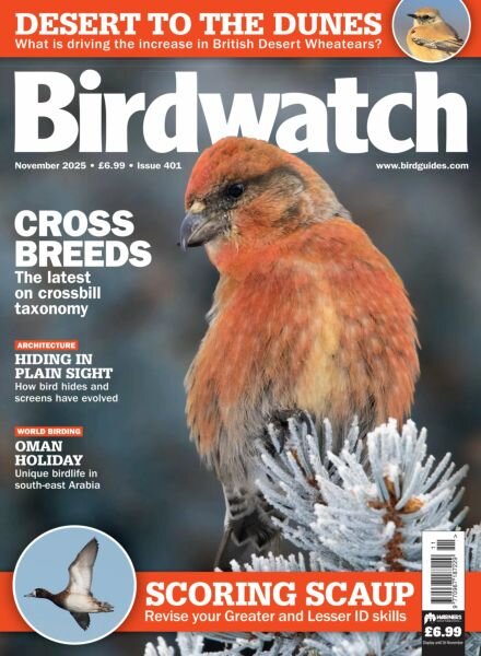 Birdwatch UK – November 2025 Cover