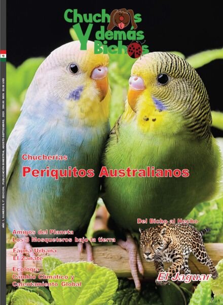 Chuchos y Demas Bichos – Agosto Septiembre 2025 Cover