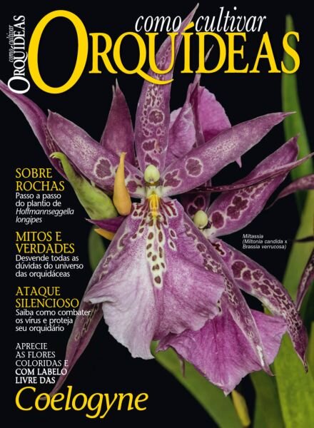 Como Cultivar Orquideas – Edicao 65 2025 Cover