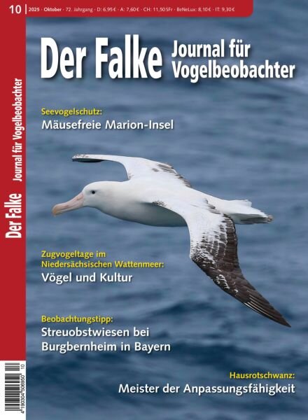 Der Falke Journal fur Vogelbeobachter – Oktober 2025.pdf Cover