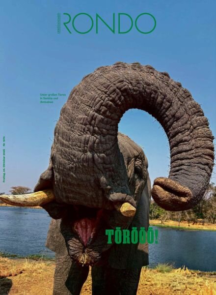 Der Standard Rondo – 24 Oktober 2025 Cover