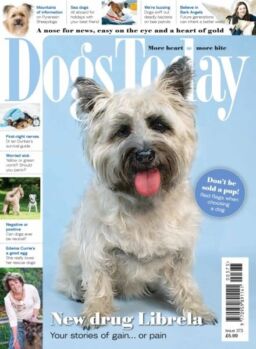 Dogs Today UK – Issue 373 2025