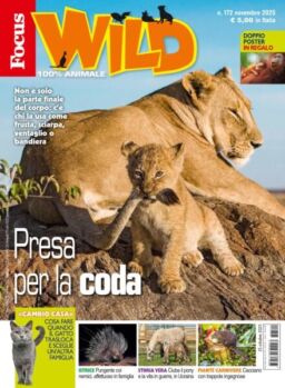 Focus Wild – Novembre 2025
