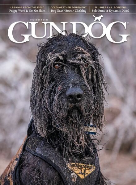 Gun Dog – November 2025 Cover