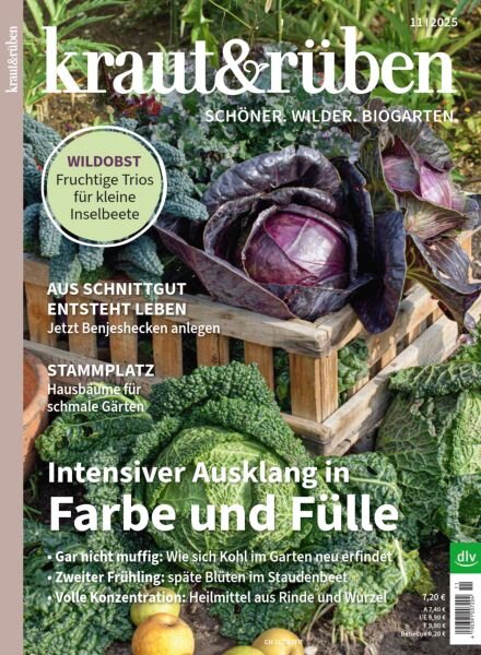 Kraut & Ruben – November 2025 Cover