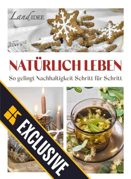LandIDEE LandKuche – 4 Oktober 2025 Cover