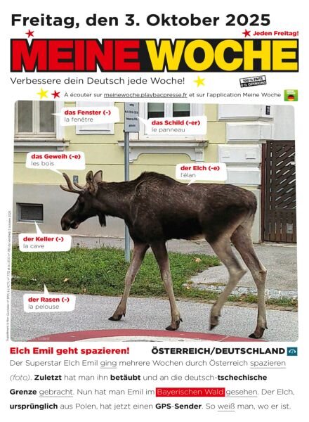 Meine Woche – 2 Oktober 2025 Cover