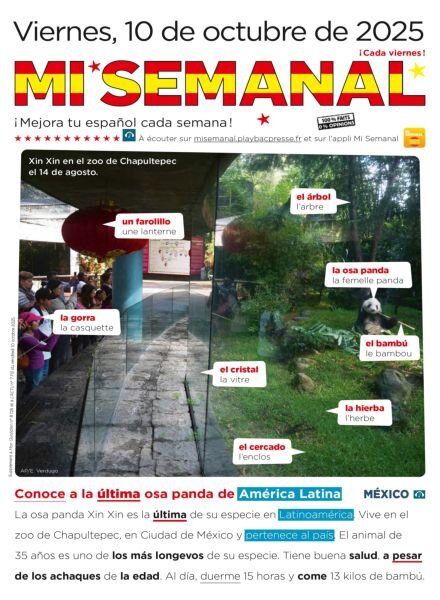 Mi Semanal – 10 Octubre 2025 Cover