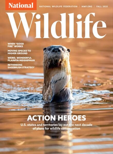 National Wildlife – Fall 2025 Cover