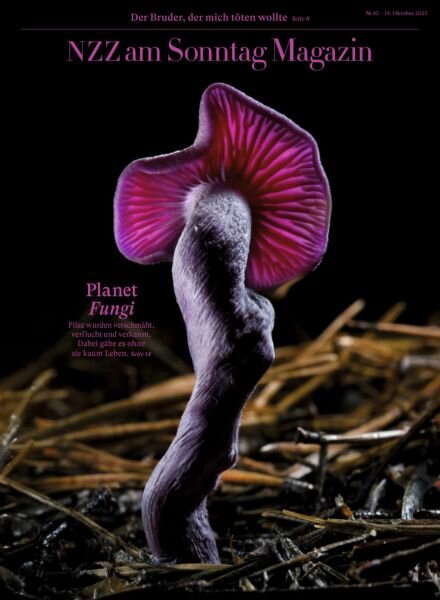 NZZ am Sonntag Magazin – 19 Oktober 2025 Cover