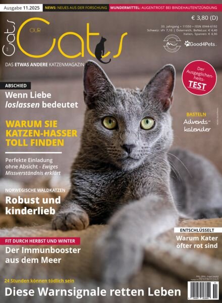 Our Cats – November 2025 Cover