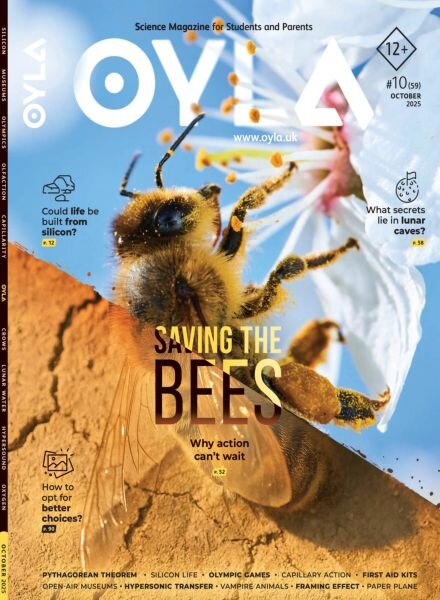 OYLA Magazine – October 2025 Cover