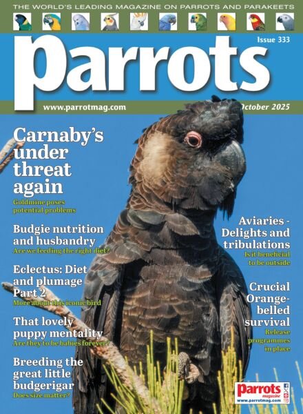 Parrots – October 2025 Cover