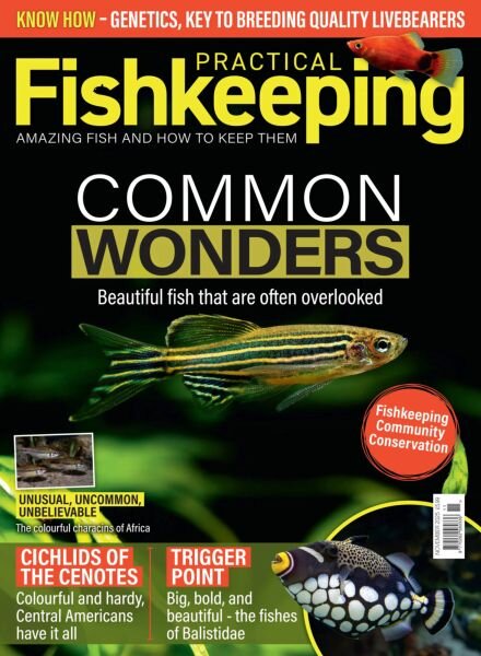 Practical Fishkeeping – November 2025 Cover