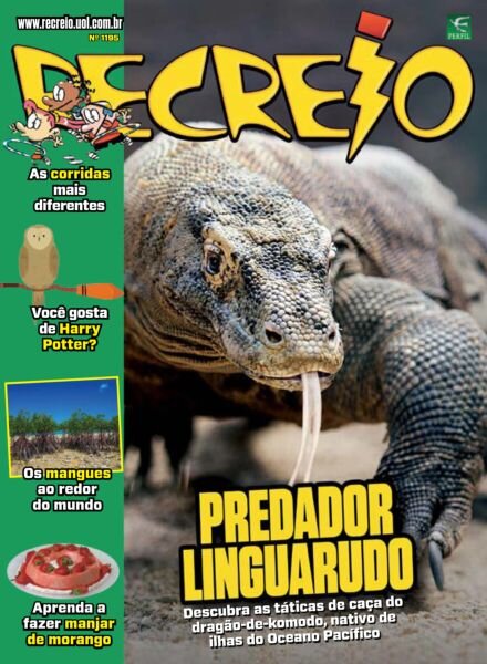 Recreio – Edicao 1195 2025 Cover