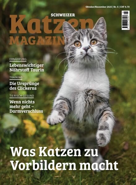 Schweizer Katzen Magazin – Oktober-November 2025 Cover
