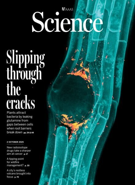 Science – 2 October 2025 Cover